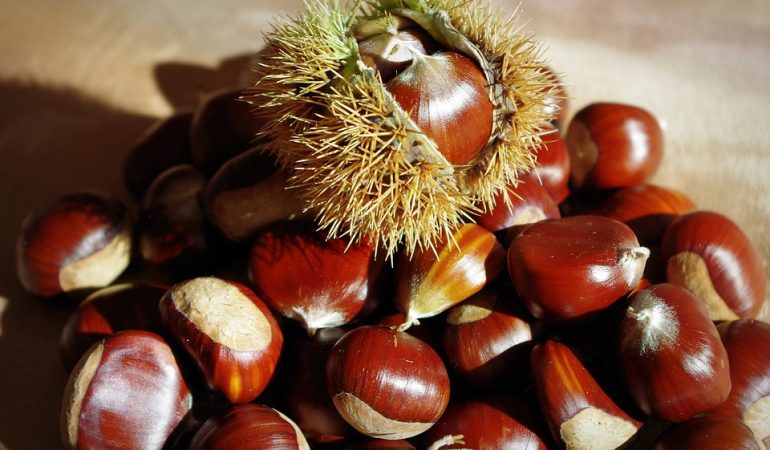 Quelles spécialités culinaires déguster en Ardèche ?