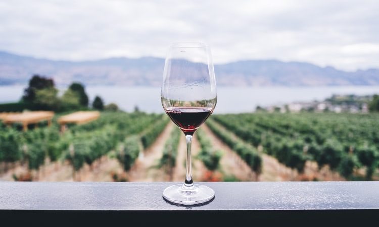 Une cave à vin même dans les petits espaces !