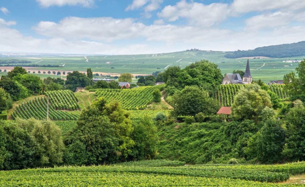 Montagne Reims